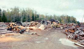 Log yard - small sawmill