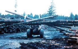 Unsafe handling of logs