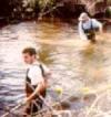 Service employees doing research in river