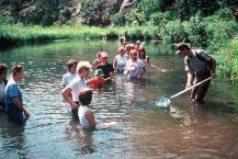 Photo of people learning about stream ecology.