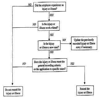 Decision Tree graphic