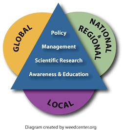 An illustration displaying the words “global, national and regional, and local.” These words surround the words “policy, scientific research, management, and awareness and education.” 