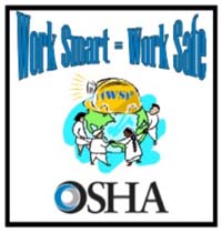 Region II OSH Patch