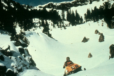 Snowmobiler in winter landscape.