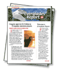 Everglades Report Icon