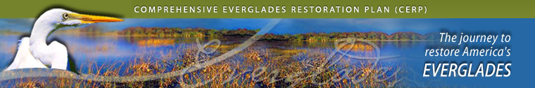 Welcome to CERP  -  The official site of the journey to restore America's Everglades