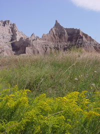 Rugged badlands formations accented by yellow flowers