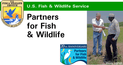 Partners for US Fish & Wildlife Service SE Region (40202 bytes)