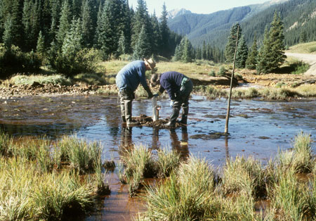 USGS scientists sampling cores from iron bog.