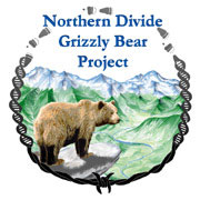 Northern Divide Grizzly Bear Project logo