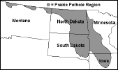 Map showing area of the Prairie Pothole Region.  Shaded area includes western Minnesota, eastern South Dakota, northern and eastern North Dakota, and extensions into northern Iowa and northern Montana.