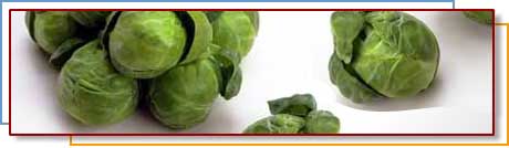 Photo of Brussel Sprouts