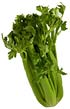 photo of celery