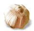 photo of garlic