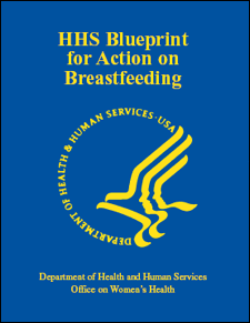 Picture of HHS Blueprint for Action on Breastfeeding Cover