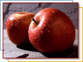 Photo of ripe apples