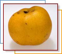 Photo of an asian pear