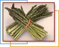 Photo of asparagus bundles