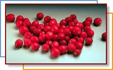 Photo of cranberries