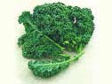 Photo of kale