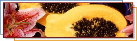 Photo of papayas