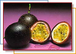Photo of purple passionfruits