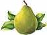 Green Anjou pear
