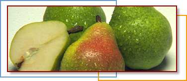 Photo of pears