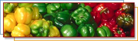 Photo of assorted bell peppers