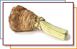 Photo of celery root