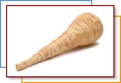 Photo of a parsnip