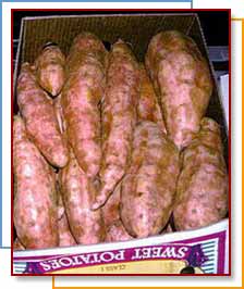 Photo of sweet potatoes in shipping box