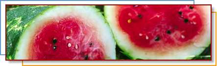 Photo of sliced watermelon