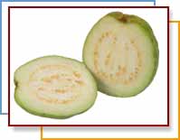 Photo of guavas