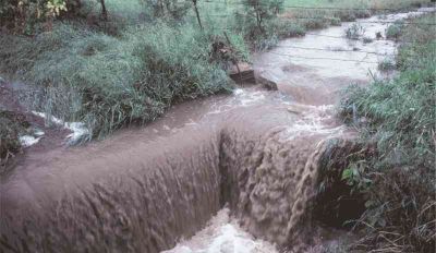 Photo courtesy of USDA, NRCS, Lawrence, Kansas 