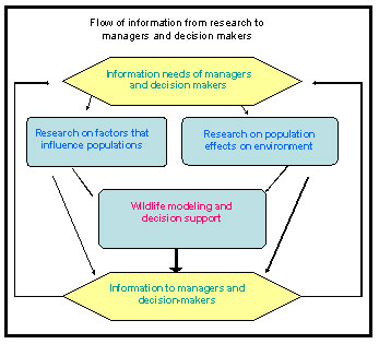 Flow of information from research to managers and decision makers