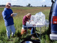 Experienced personnel use proven methods that enable representative environmental samples to be collected from a well in the well network for the National Ground-Water Reconnaissance for Emerging Contaminants in the Environment Investigation 