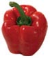 1 large bell pepper 
