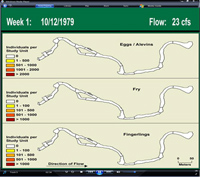 Image of a 1-dimensional view animation from Smart River GIS project.