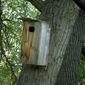 bird house-Montana