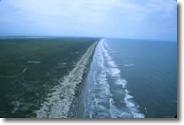 Matagorda Island beach