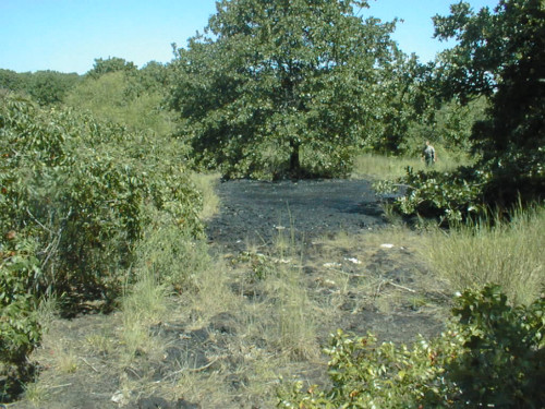 Pooled oil or tank sludge