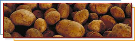 Photo of Potatoes