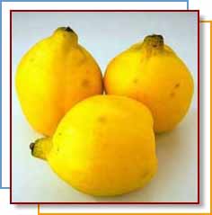 Photo of quinces