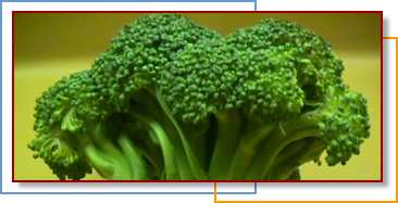 Photo of broccoli