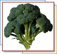 Photo of broccoli