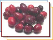 Photo of cranberries