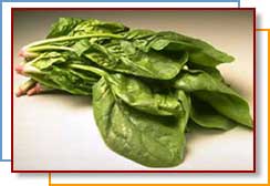 Photo of spinach