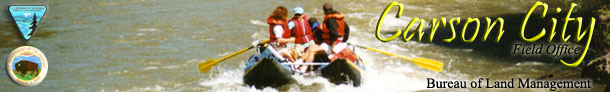 River Rafting, Eastfork Carson River