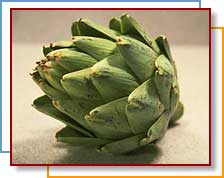 Photo of an artichoke